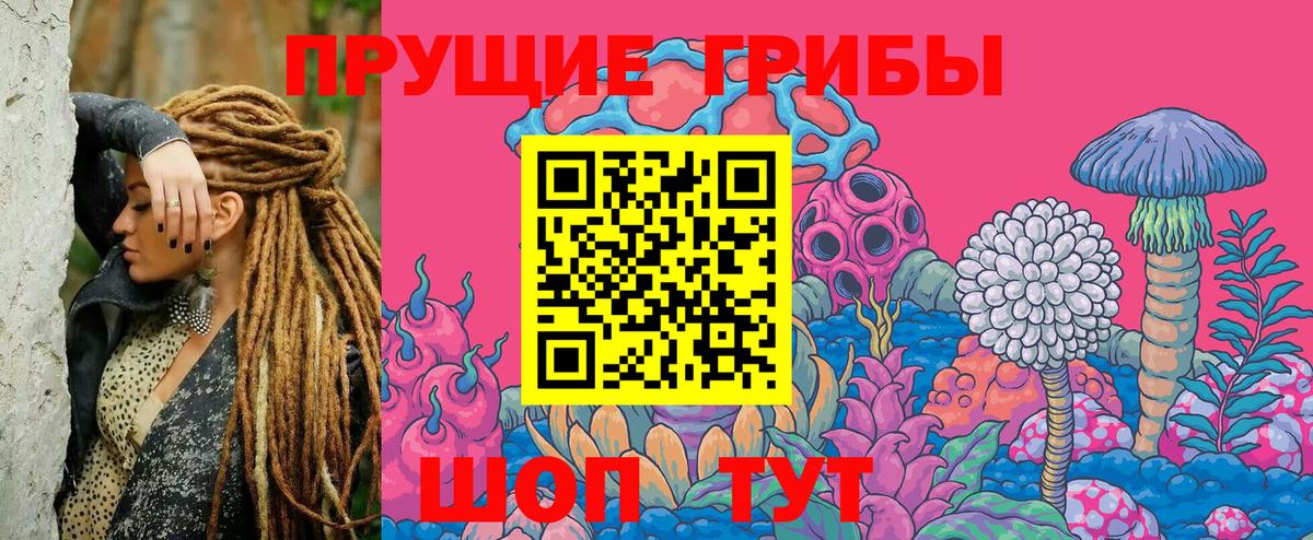 Псилоцибиновые грибы прущие грибы Сегежа